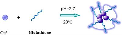 Synthesis of Fluorescent Copper Nanomaterials and Detection of Bi3+